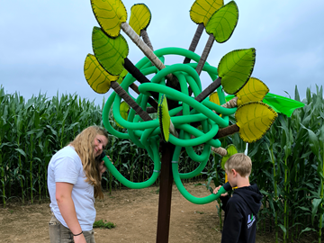 Labyrinthe de maïs